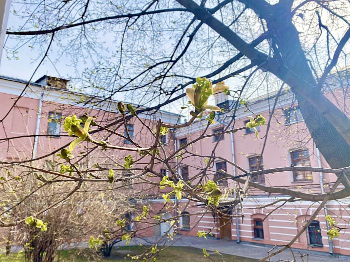 22 апреля 2021 года на территории ГАУК г. Москвы «Сад КиО им. Н.Э. Баумана» будет производится акарицидная обработка от иксодовых клещей.