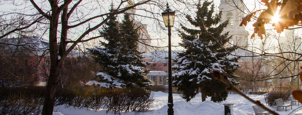 Зима в Саду имени Баумана 2024